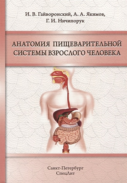 Анатомия пищеварительной системы взрослого человека. Учебное пособие - фото 1