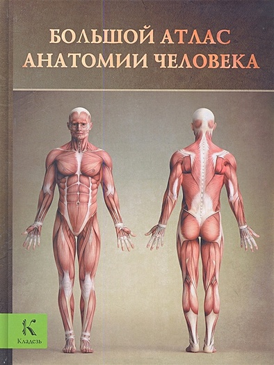 Большой атлас анатомии человека - фото 1