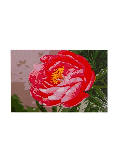 Раскраска по номерам на картоне А3 "Распустившийся цветок", 30х40 см - фото 1