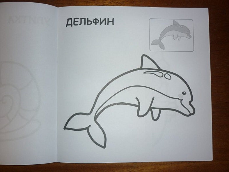 В океане - фото 8