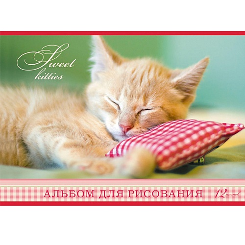 Спящий котенок АЛЬБОМЫ ДЛЯ РИСОВАНИЯ (*скрепка). 12 листов - фото 1