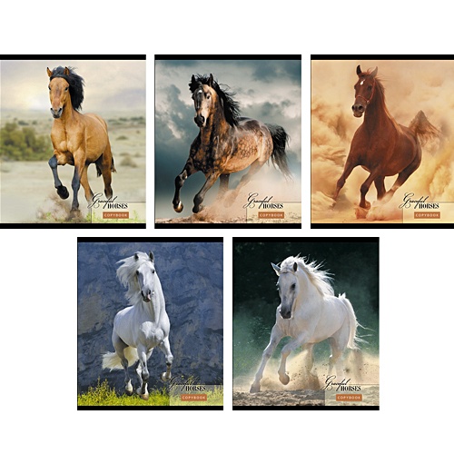 Великолепные лошади 48л., 5 видов ТЕТРАДИ А5 (*скрепка) 48Л. Обложка: без отделки - фото 1