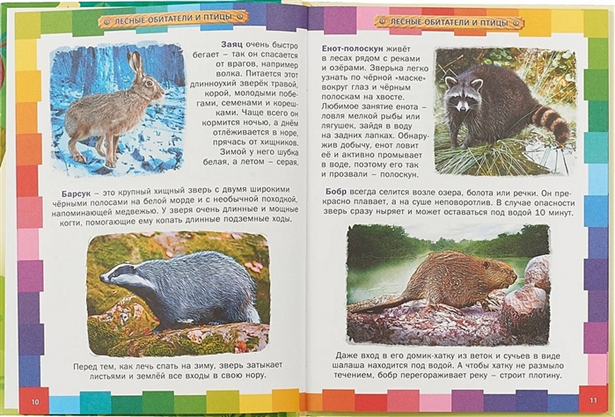 Мои животные читать. Энциклопедия животных. энциклопедия про животных для детей читать. детская энциклопедия животных феданова.