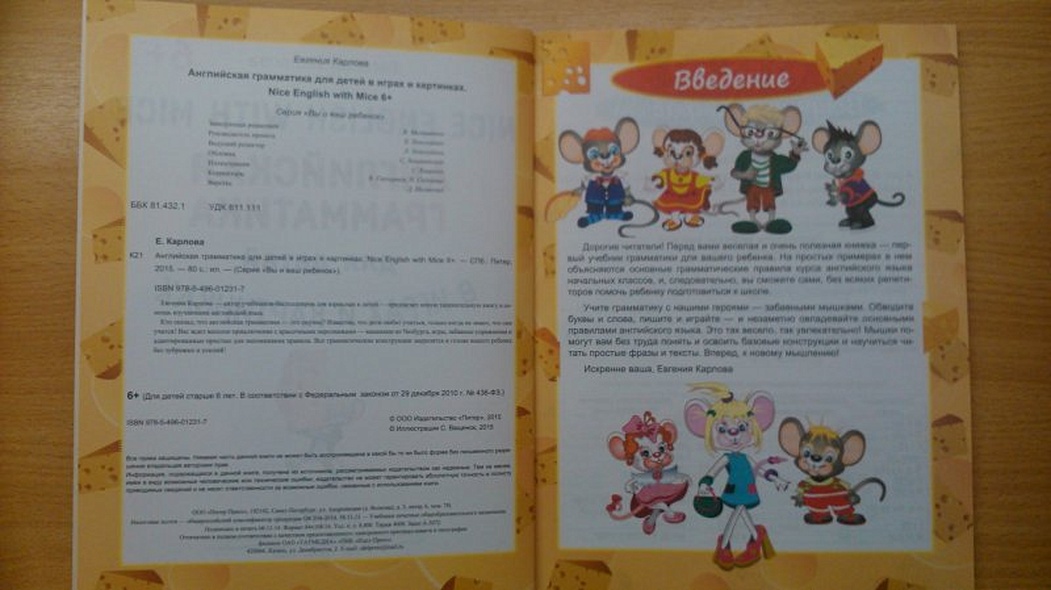 Английская грамматика для детей в играх и картинках. Nice English with Mice 6+ - фото 1