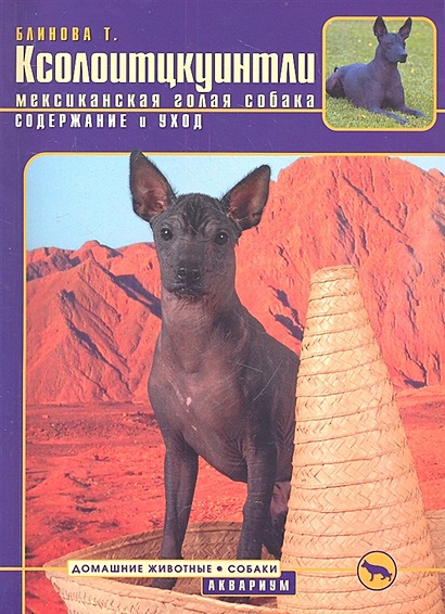 Ксолоитцкуинтли (мексиканская голая собака). Содержание и уход - фото 1