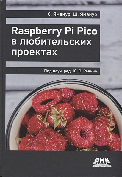 Raspberry pi pico в любительских проектах - фото 1