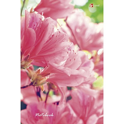 Цветы. Розовые грезы КНИГИ ДЛЯ ЗАПИСЕЙ А5 (7БЦ) - фото 1