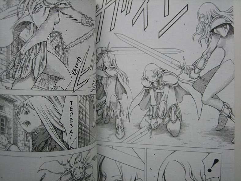 Клеймор. Книга 4. Смертный приговор - фото 15