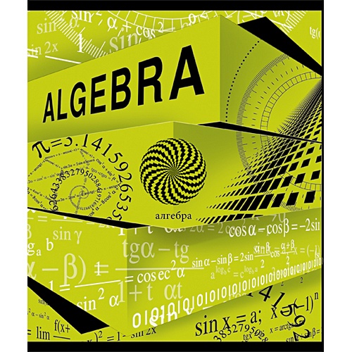 Алгебра (Новые горизонты) ТЕТРАДИ А5 (*скрепка) ПРЕДМЕТНЫЕ 40Л. Обложка: без отделки - фото 1