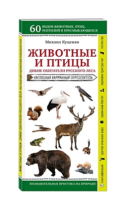 Животные и птицы. Дикие обитатели русского леса - фото 1