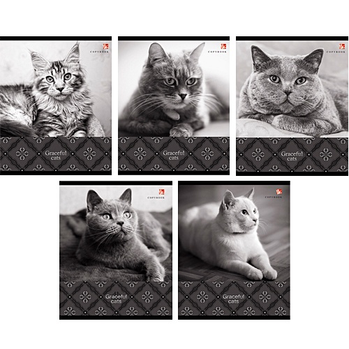 Роскошные коты 48л. 5 видов ТЕТРАДИ А5 (*скрепка) 48Л. Обложка: high-class - фото 1