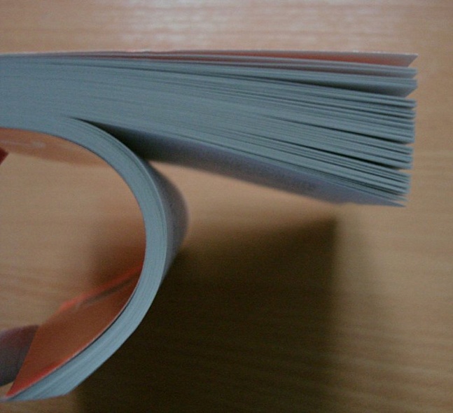 Последний кабан из лесов Понтеведра - фото 7