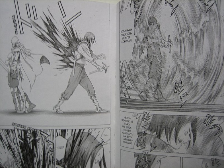 Клеймор. Книга 4. Смертный приговор - фото 8