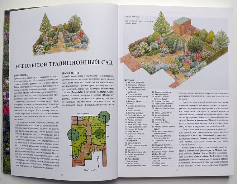 Все о планировке сада - фото 7