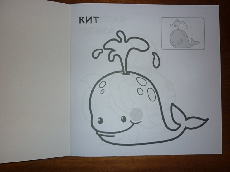 В океане - фото 3