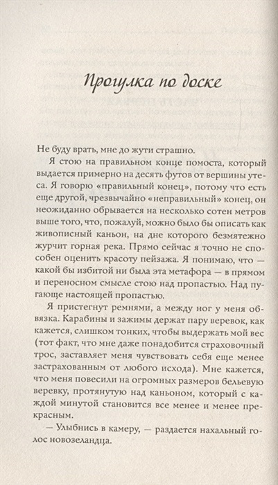 Вдаль и вдаль ведут дороги. Путешествие двух братьев • Ройд Толкин ...