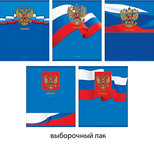 Российский флаг 96л., 5 видов ТЕТРАДИ А5 (*скрепка) 96Л. Обложка: лакирование - фото 1
