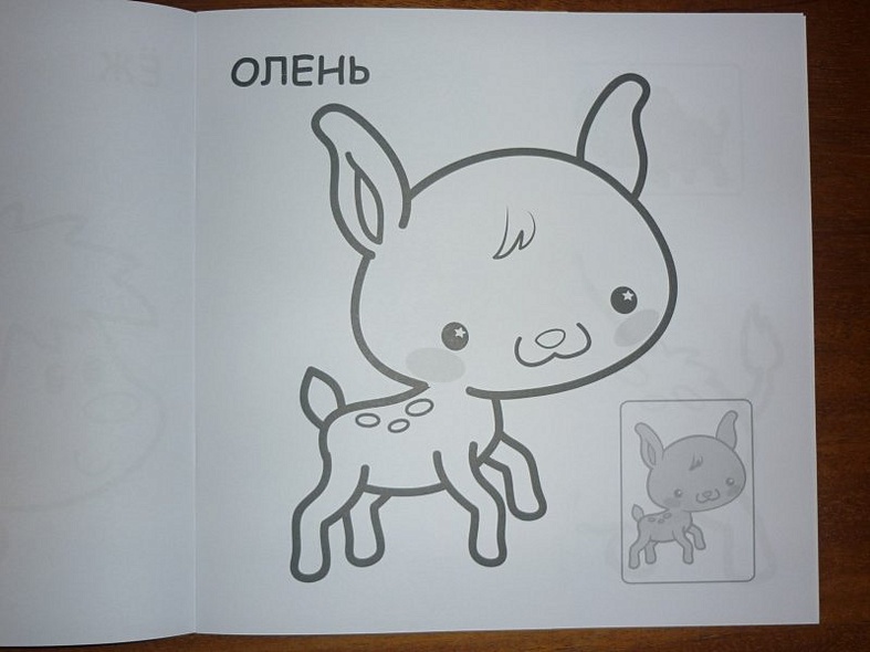 В лесу - фото 8