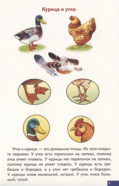 Логопедические карточки "Играй и говори! Схемы для сравнительно ...