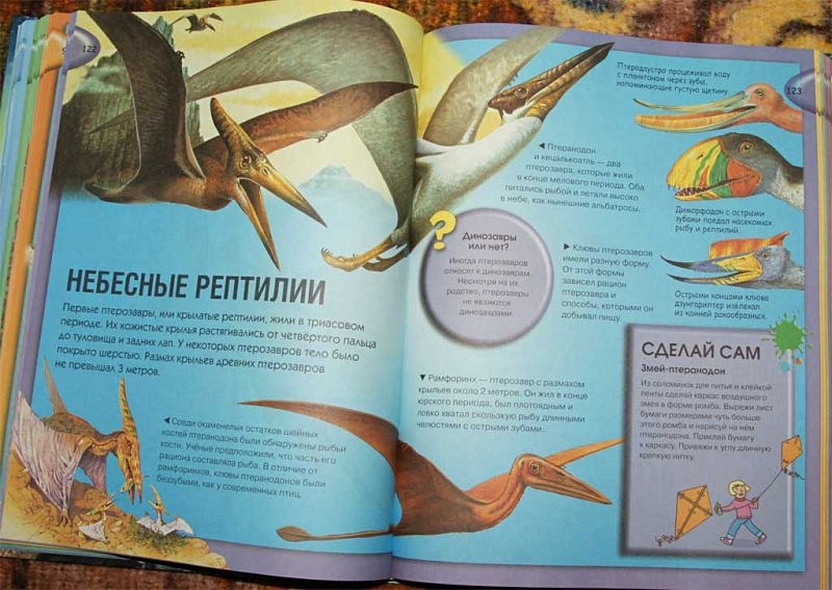 Энциклопедия необходимых знаний - фото 14