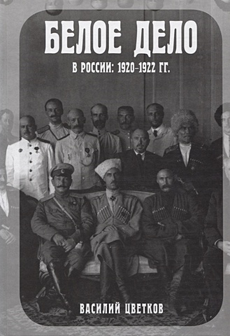 Белое дело в России: 1920-1922 - фото 1