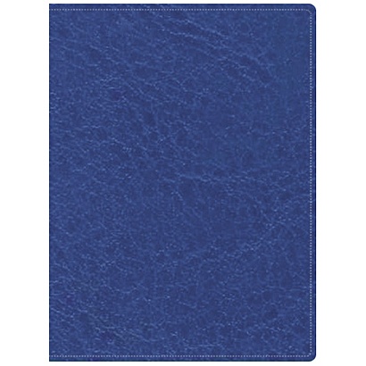 Серо-голубой (51419201) (полудатированный А5) ЕЖЕДНЕВНИКИ ИСКУССТВ.КОЖА (CLASSIC) - фото 1