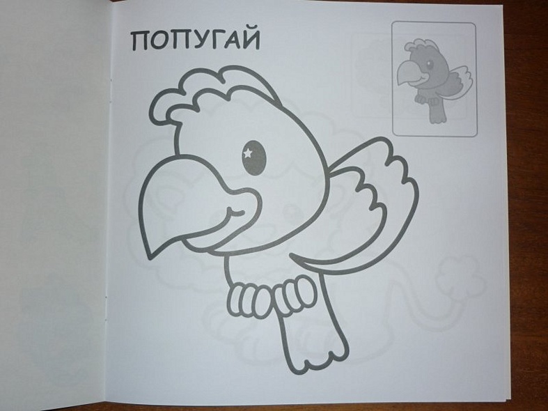 В Африке - фото 10