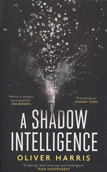 A Shadow Intelligence - фото 1