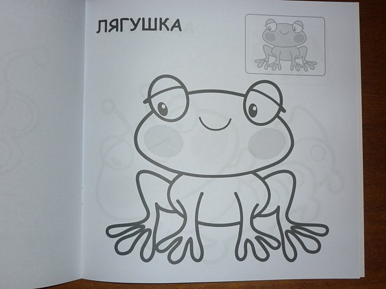 На лугу - фото 11