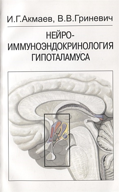 Нейроэндокринология гипоталамуса - фото 1