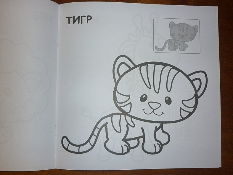 В Африке - фото 12