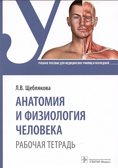 Анатомия и физиология человека. Рабочая тетрадь - фото 1