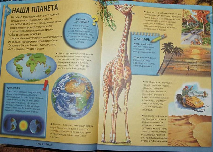 Энциклопедия необходимых знаний - фото 6