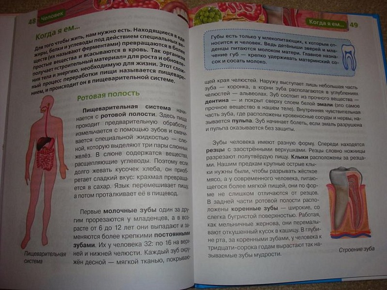 Человек - фото 4