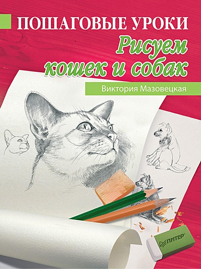 Пошаговые уроки рисования. Рисуем кошек и собак - фото 1