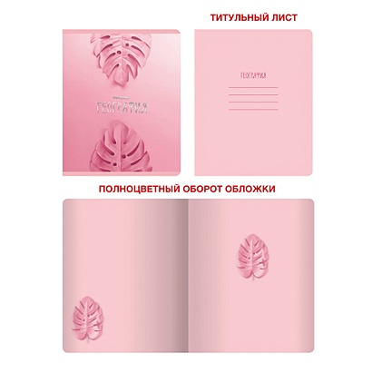 Тетрадь предметная по географии «Розовые мечты», 48 листов - фото 1