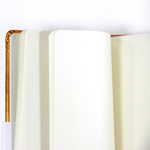 Записная книжка, Эксмо Listoff А6 (100*181) 96л Crystal Collection.Голубой лед обложка металлизиров.искуств.к - фото 3