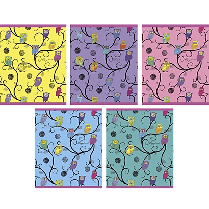 Тетрадь в клетку «Разноцветные совы»‎, А5, 48 листов - фото 1