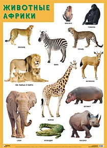 Развивающие плакаты. Животные Африки - фото 1