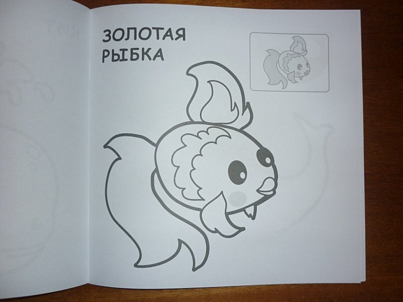 В океане - фото 4