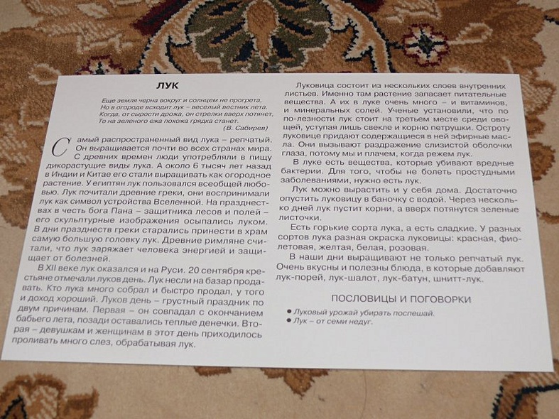 Расскажите детям об овощах. Карточки для занятий в детском саду и дома. - фото 11