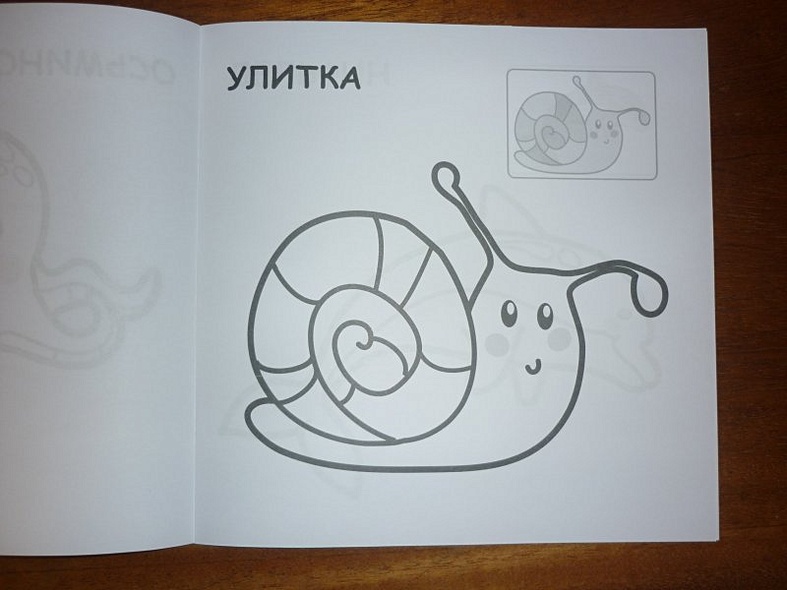 В океане - фото 7