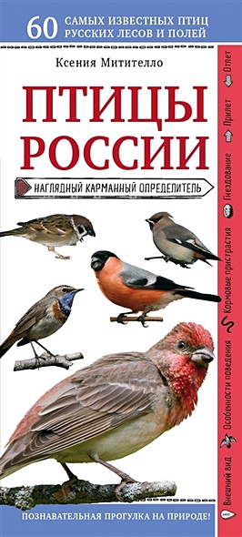 Птицы России. Наглядный карманный определитель (для ПР) - фото 1