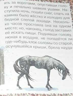 Слепая лошадь: сказка - фото 11