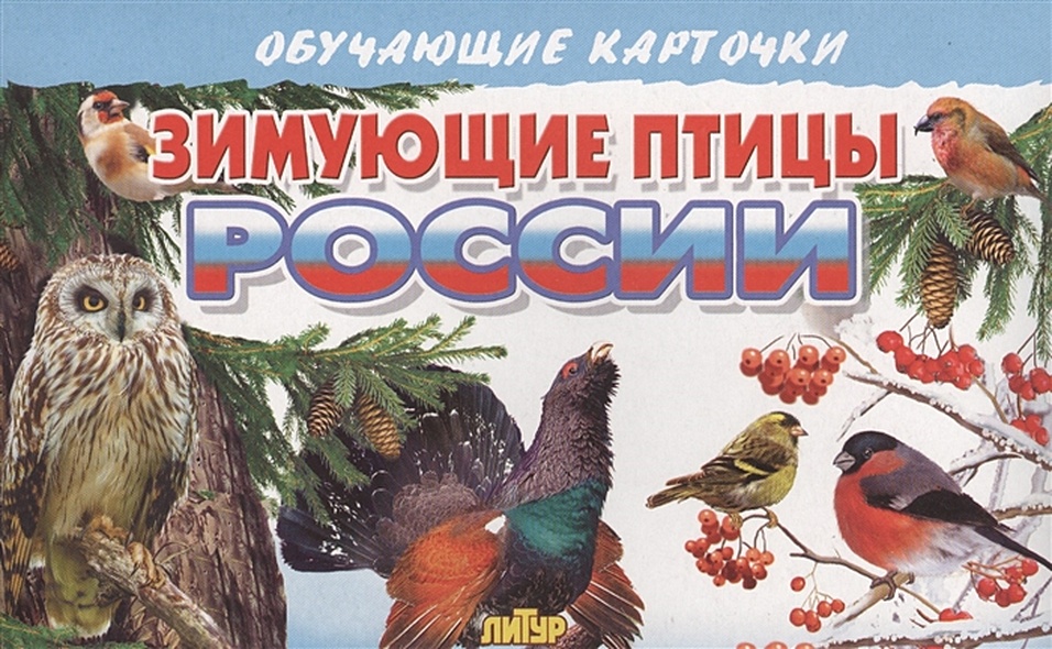 Обучающие карточки. Зимующие птицы России - фото 1