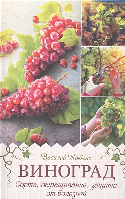 Виноград. Сорта, выращивание, защита от болезней - фото 1