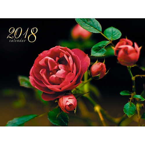 Цветы. Изысканная роза (однобл. 390х580 мм) ***КАЛЕНДАРИ 2018_ КВАРТАЛЬНЫЕ - фото 1