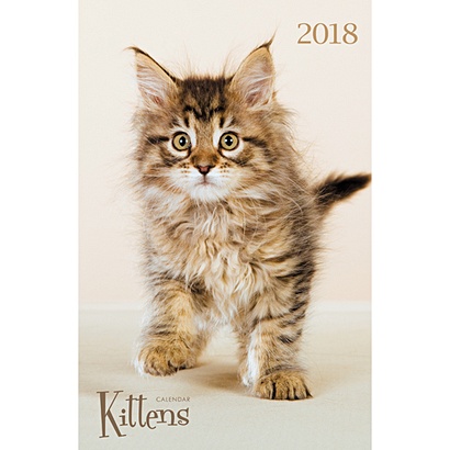 Домашние любимцы. Милые котята (вертикаль) ***КАЛЕНДАРИ 2018_ НАСТЕННЫЕ ПЕРЕКИДНЫЕ - фото 1