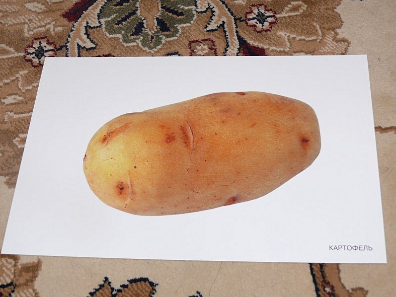 Расскажите детям об овощах. Карточки для занятий в детском саду и дома. - фото 12