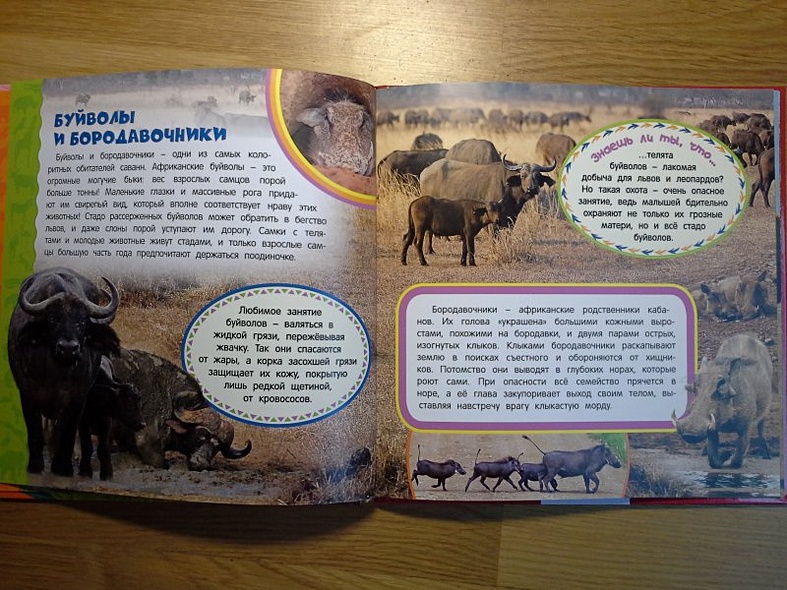 Животные Африки. Самая первая энциклопедия - фото 9